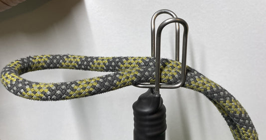 The CLIP